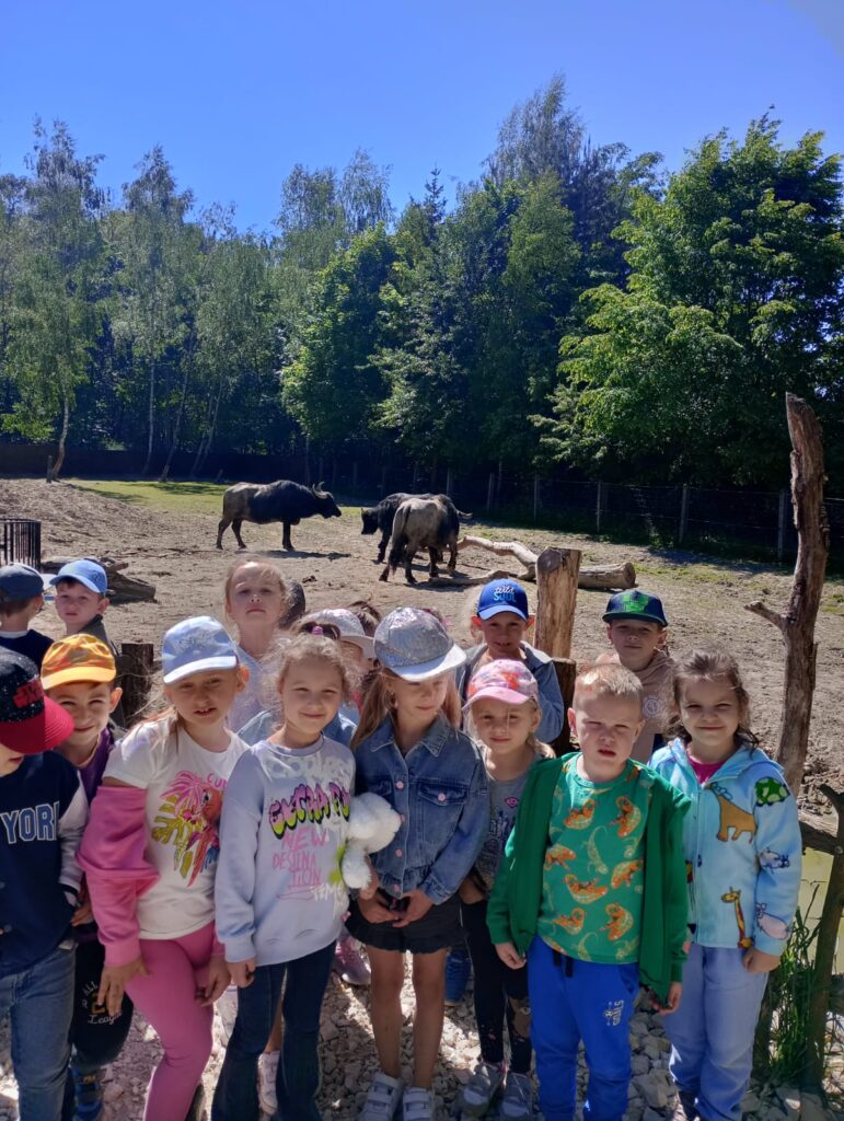 Wycieczka do mini Zoo ''Leśne Zacisze'' grupa ''Tygryski''