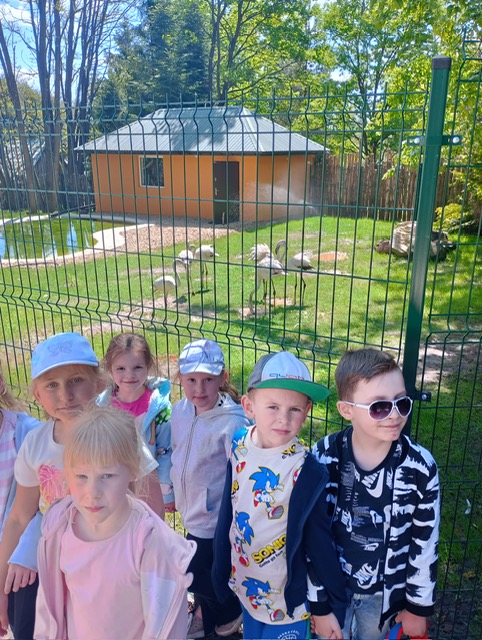 Wycieczka do mini Zoo ''Leśne Zacisze'' grupa ''Tygryski''