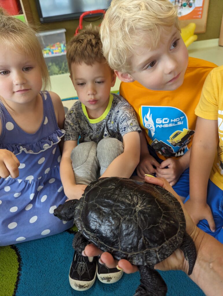 Żółw w odwiedzinach u dzieci