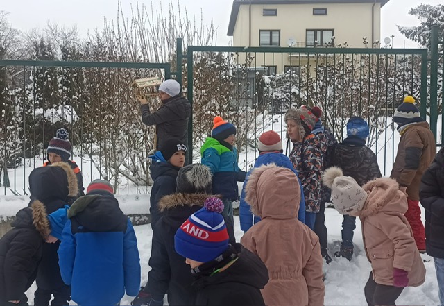 Tygryski dokarmiają ptaszki zimą