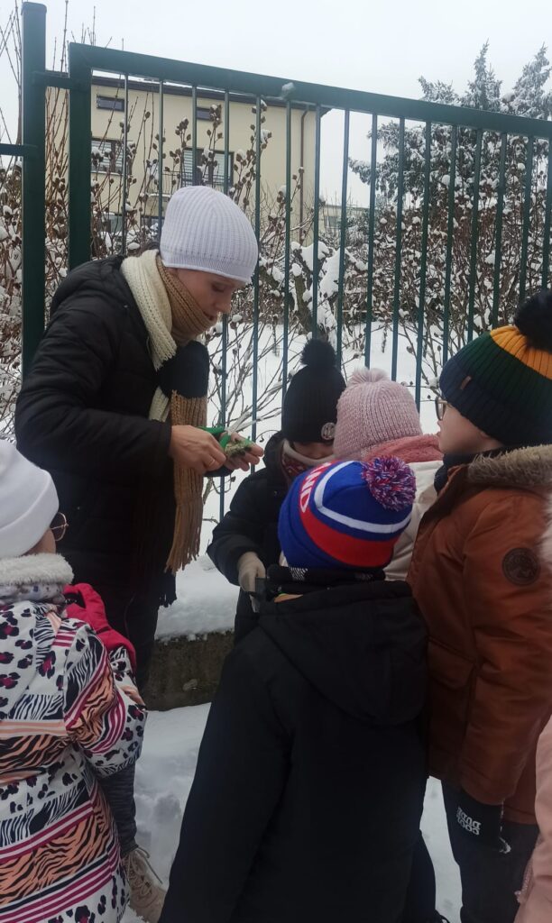 Tygryski dokarmiają ptaszki zimą